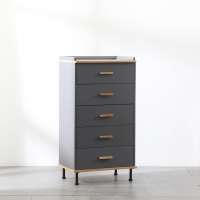 High Quality Furniture Modern Style Wood Cabinet Chest of Drawers